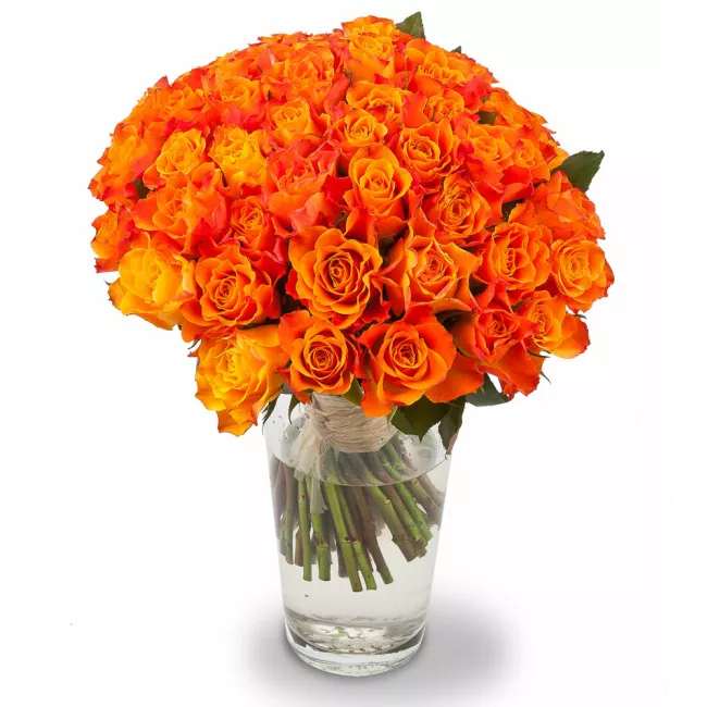 Bouquet of orange roses